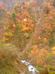 紅葉と川