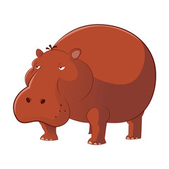 Hippopotamus