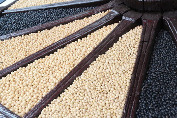 close up mix soybean background