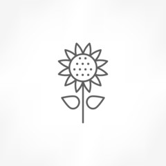 sun flower icon