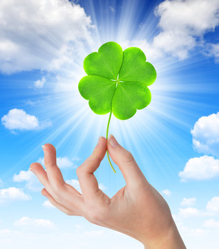 Hand holding a green four leaf clover