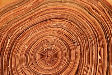 Fototapeta na wymiar close up wood texture background