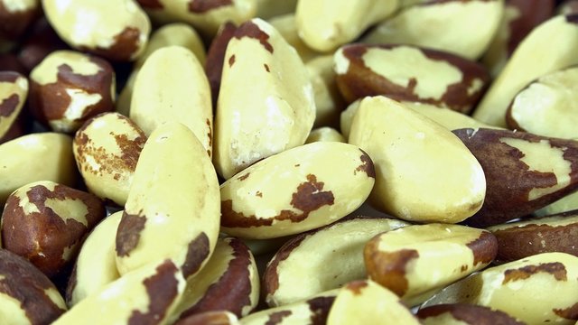 Rotating Brazil Nuts (not loopable)