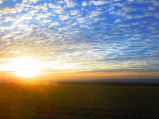 Naklejka premium Abend im Nieder-Olmer Feld II