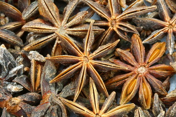 close up Anise in Thailand