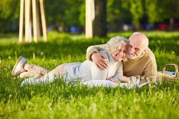 Glückliches Seniorenpaar macht Picknick