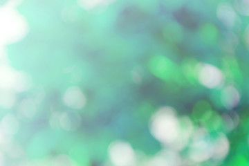Abstract Blurred background from nature with soft light