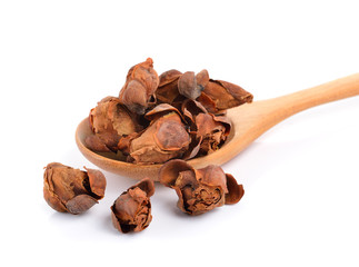 Indian rose chestnut herb in the spoon on white background