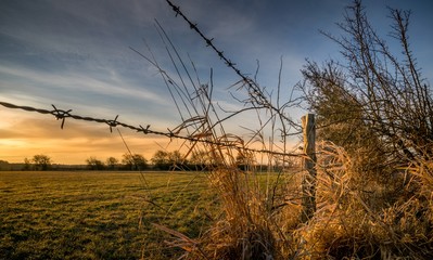A barbed wire fence with wooden post in the countryside