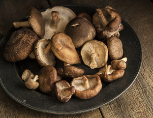 Fresh shiitake mushrooms in moody natural light setting with vin