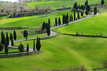 Famous road near Monticchiello, Tuscany, Italy