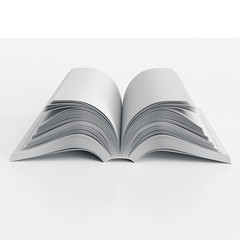 spread of a thick catalog or magazine. 