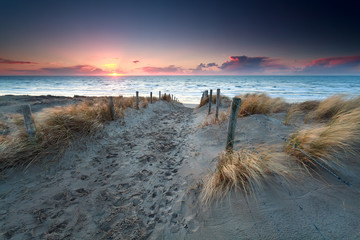 chemin de sable vers la plage de la mer du Nord au coucher du soleil