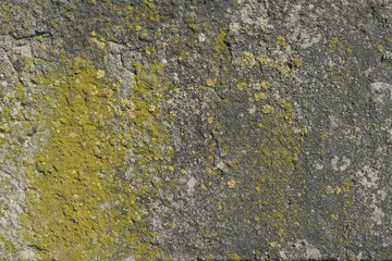 Old concrete