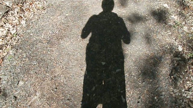 Walking shadow