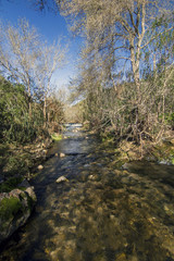 View of a fresh stream of water on the forest 