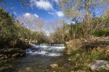 Fototapeta premium View of a fresh stream of water on the forest.