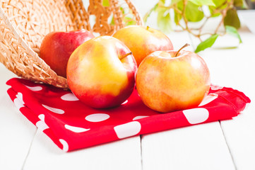 Fresh harvest of apples. Nature fruit concept