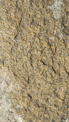 Stone