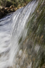 Close up view of a fresh stream of water on the forest.