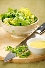 salad with cucumber and lettuce
