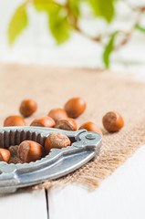 Organic hazelnut on white wooden table background