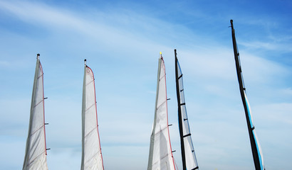 sailing sails on the beach