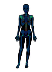 Woman x-ray skeleton. Vector flat illustration