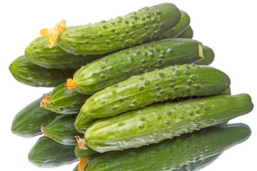Cucumbers from the greenhouse