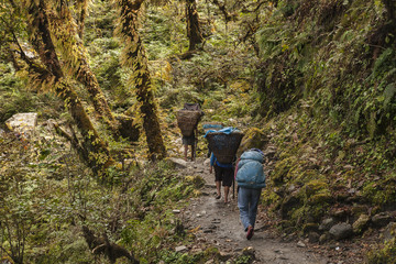 Fototapeta premium porters