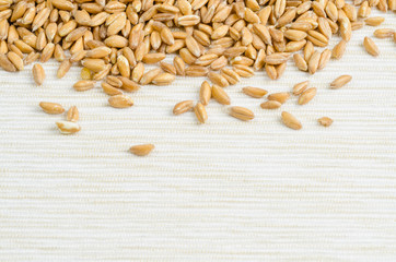 Obraz premium spelt on table cloth, close up, background