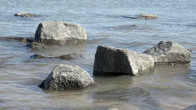 Steine im Meer
