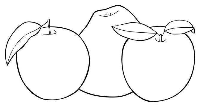 Delightful garden - Set of three apples with three leaves