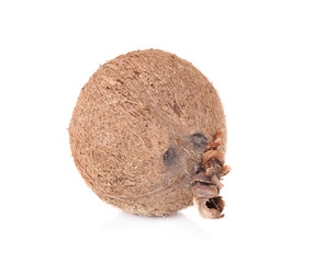 coconut isolated on white background