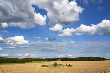 Naklejka premium Agriculture in Mecklenburg, Germany