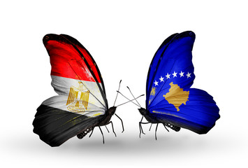 Two butterflies with flags Egypt and Kosovo