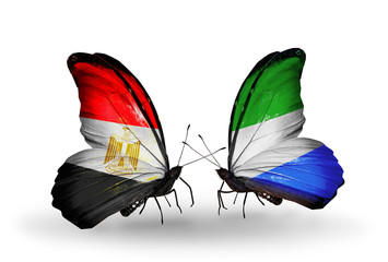 Two butterflies with flags Egypt and Sierra Leone