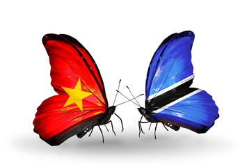 Two butterflies with flags Vietnam and Botswana