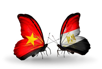 Two butterflies with flags Vietnam and Egypt