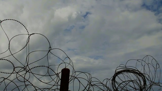 Barbed wire  trembling in the wind