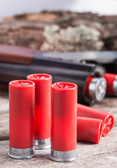 12 gauge shotgun shells with shotgun on wood surface