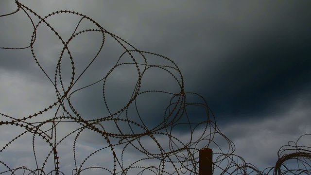 Barbed wire trembling in the wind