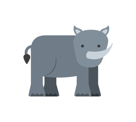 animal cute