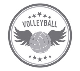volleyball sport
