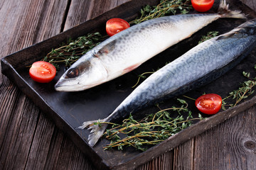 Raw mackerel on old black metallic oven tray