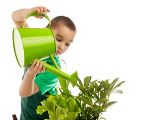 Little gardener boy, isolated on white