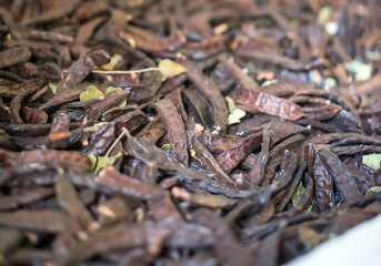 Portrait of many dried carob beans.