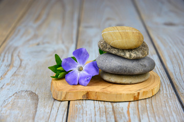 Fototapeta na wymiar zen stones on old grey used wood with purple flower