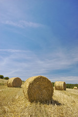 Fototapeta premium Fields in Auvergne