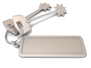 Two door keys and rectangular blank label on ring. 3D render